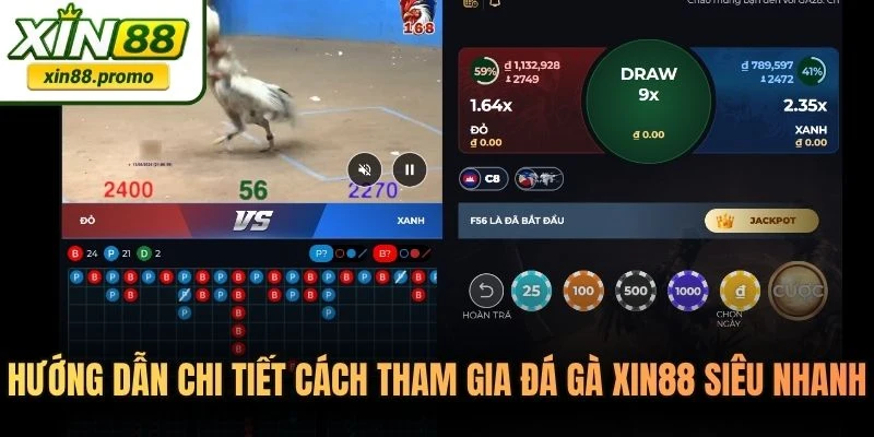 Hướng dẫn chi tiết cách tham gia đá gà XIN88 siêu nhanh
