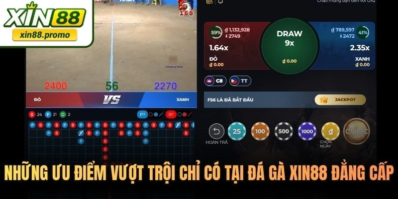 Những ưu điểm vượt trội chỉ có tại đá gà XIN88 đẳng cấp