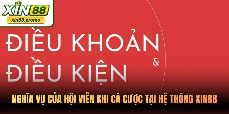 Nghĩa vụ của hội viên khi cá cược tại hệ thống XIN88