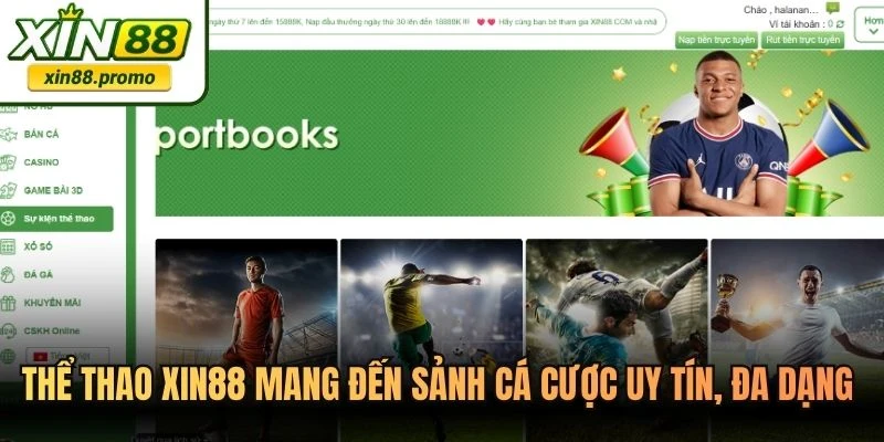 Thể thao XIN88 mang đến sảnh cá cược uy tín, đa dạng bộ môn hấp dẫn